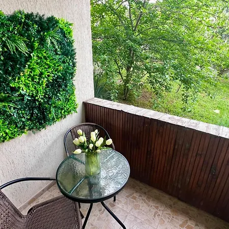 Olive Luxury Few Steps Away From The Sandy Apartment *