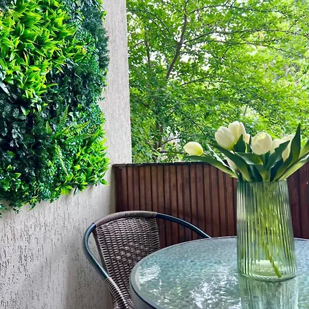Olive Luxury Few Steps Away From The Sandy Apartment