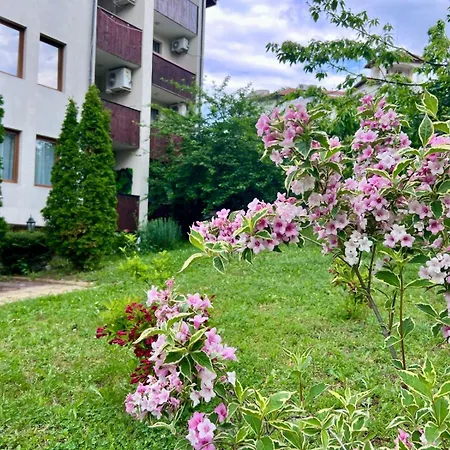 Apartment Olive Luxury Few Steps Away From The Sandy Sveti Vlas